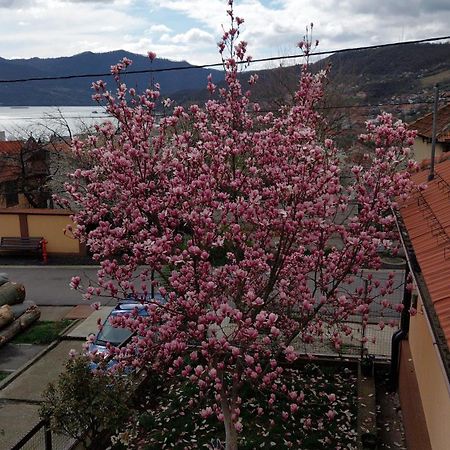 Casa Darius Appartement Orşova Buitenkant foto