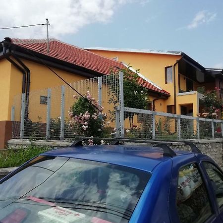 Casa Darius Appartement Orşova Buitenkant foto