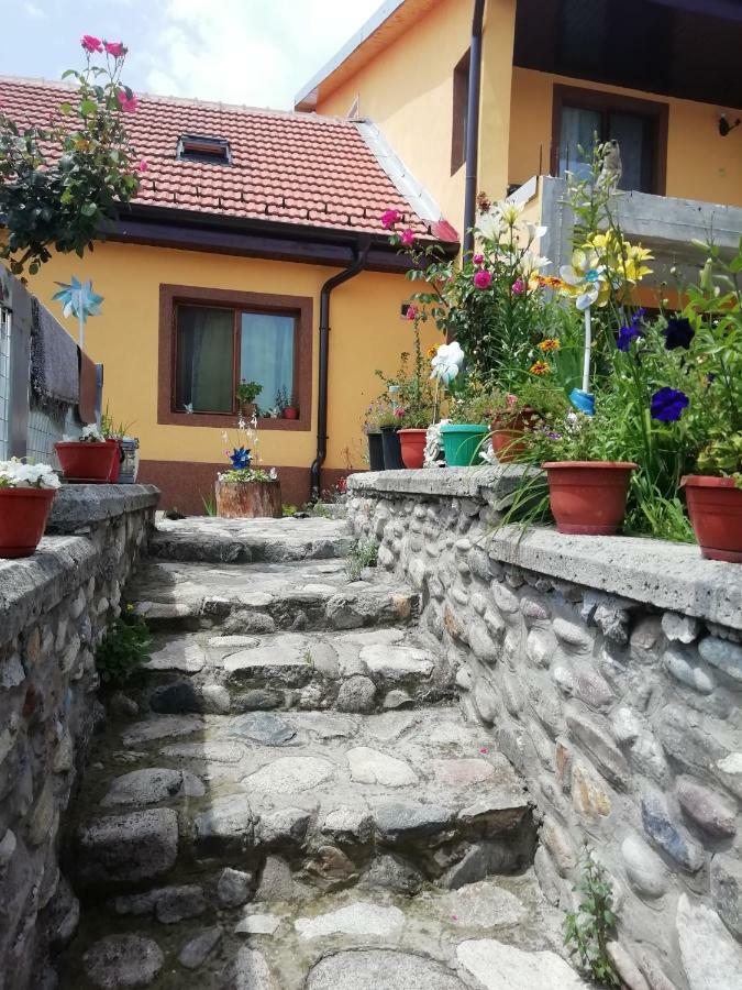 Casa Darius Appartement Orşova Buitenkant foto