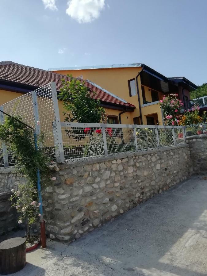 Casa Darius Appartement Orşova Buitenkant foto